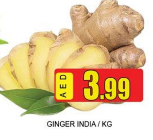 Ginger