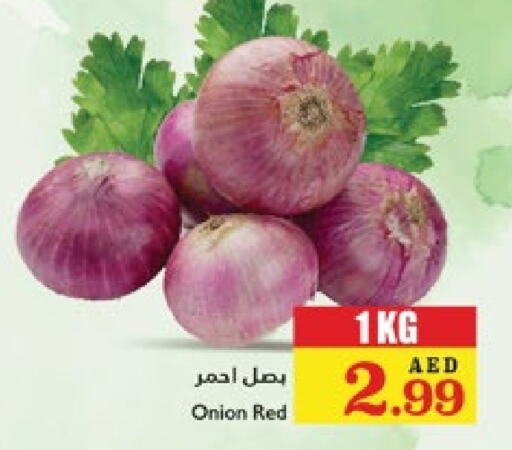  Onion  in Trolleys Supermarket in UAE - Dubai