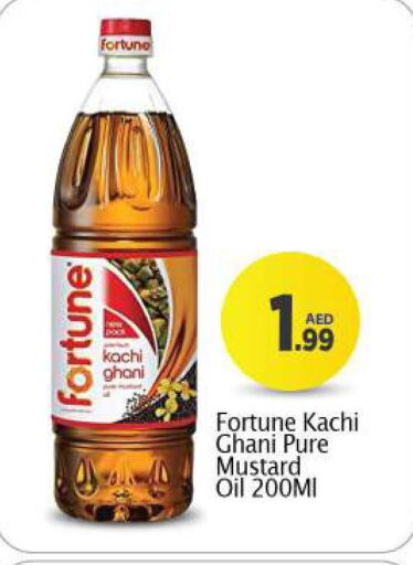 FORTUNE Mustard Oil  in BIGmart in UAE - Dubai