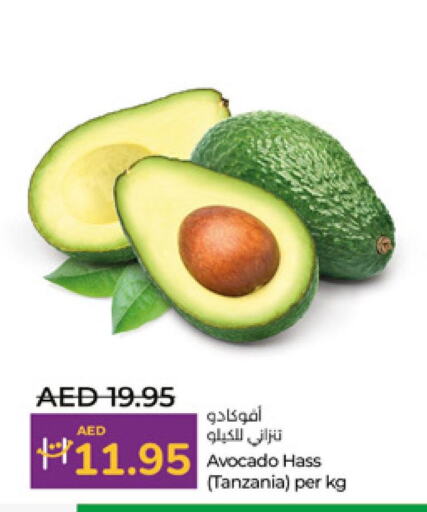 Avacado