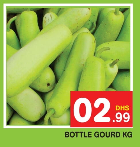  Gourd  in Fresh Spike Supermarket in UAE - Dubai