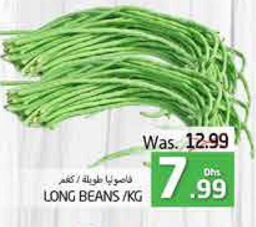  Beans  in PASONS GROUP in UAE - Al Ain