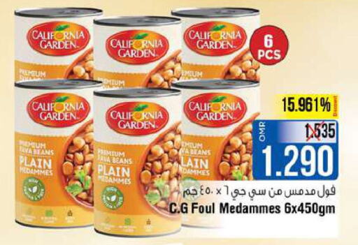 CALIFORNIA GARDEN Fava Beans  in Last Chance in Oman - Muscat