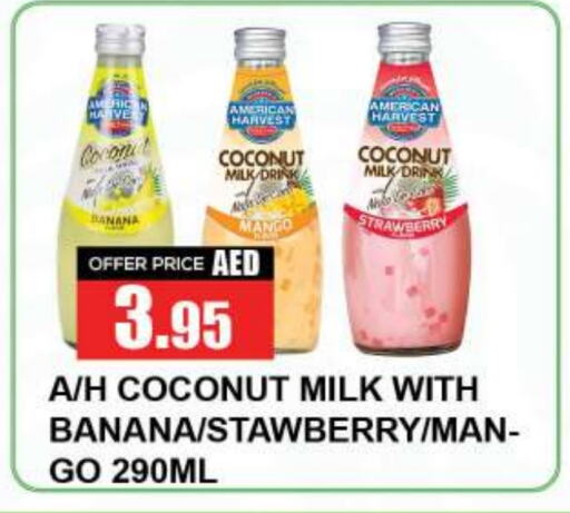 AMERICAN HARVEST   in Quick Supermarket in UAE - Sharjah / Ajman