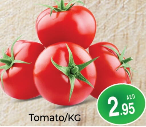  Tomato  in PASONS GROUP in UAE - Dubai