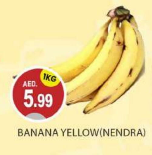  Banana  in TALAL MARKET in UAE - Abu Dhabi