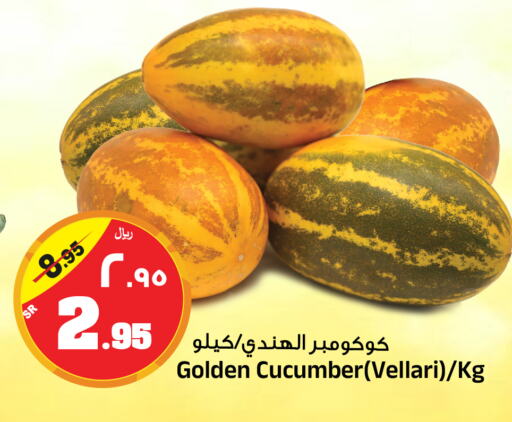  Cucumber  in Al Madina Hypermarket in KSA, Saudi Arabia, Saudi - Riyadh