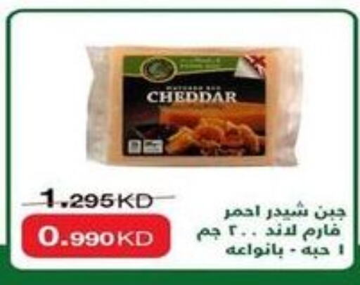  Cheddar Cheese  in Al-salam Co-operative Society in Kuwait - Kuwait City