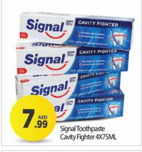 SIGNAL Toothpaste  in BIGmart in UAE - Dubai