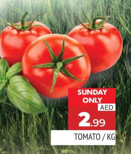  Tomato  in AL MADINA in UAE - Sharjah / Ajman