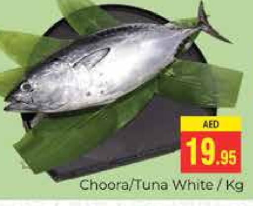  Tuna - Canned  in PASONS GROUP in UAE - Dubai