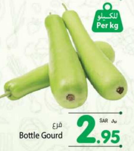  Gourd  in Kabayan Hypermarket in KSA, Saudi Arabia, Saudi - Jeddah