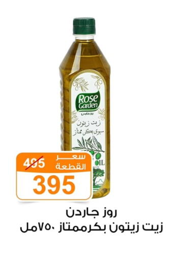  Olive Oil  in Gomla Market in Egypt - Cairo