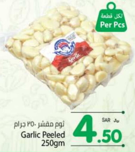  Garlic  in Kabayan Hypermarket in KSA, Saudi Arabia, Saudi - Jeddah