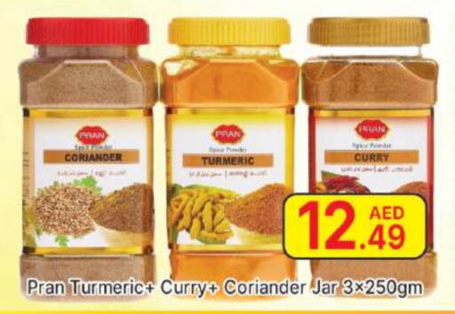 PRAN Spices  in AL MADINA (Dubai) in UAE - Dubai