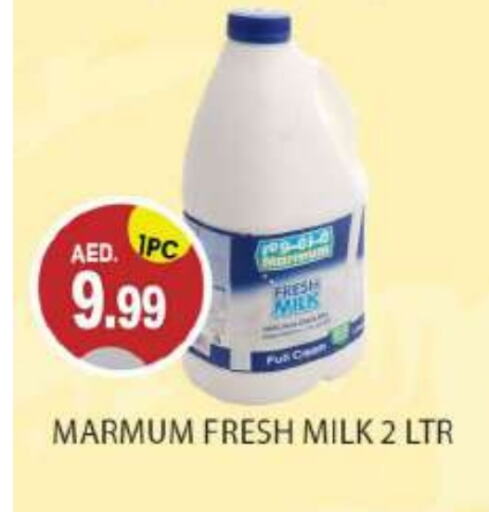 MARMUM Fresh Milk  in TALAL MARKET in UAE - Abu Dhabi