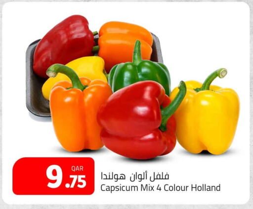  Chilli / Capsicum  in Masskar Hypermarket in Qatar - Doha