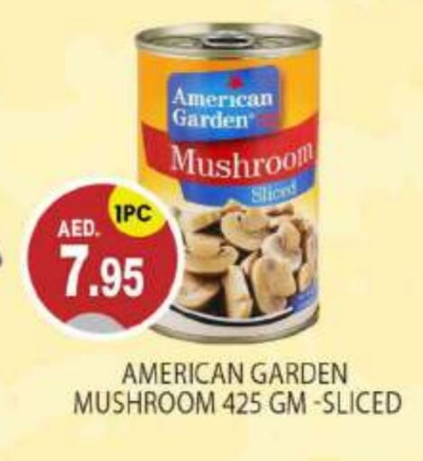 AMERICAN GARDEN   in TALAL MARKET in UAE - Abu Dhabi