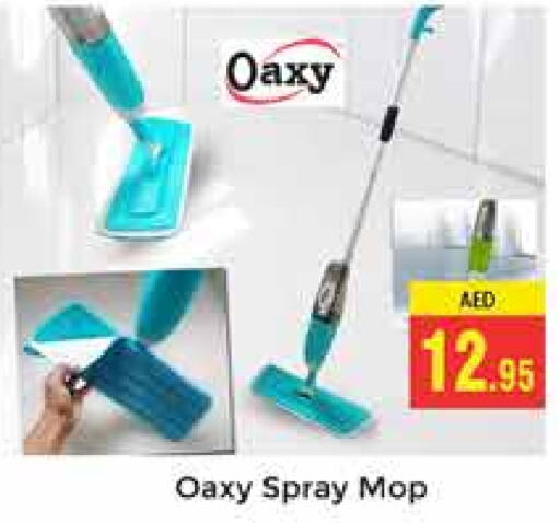  Cleaning Aid  in PASONS GROUP in UAE - Dubai