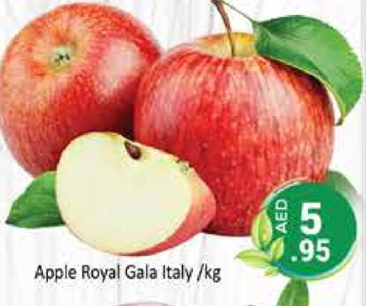  Apples  in PASONS GROUP in UAE - Dubai