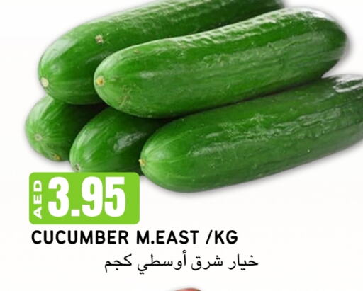 Cucumber