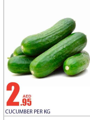  Cucumber  in Bismi Wholesale in UAE - Dubai