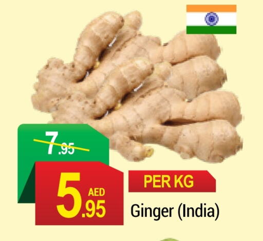 Ginger