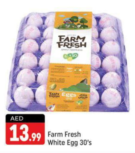 FARM FRESH   in Shaklan  in UAE - Dubai