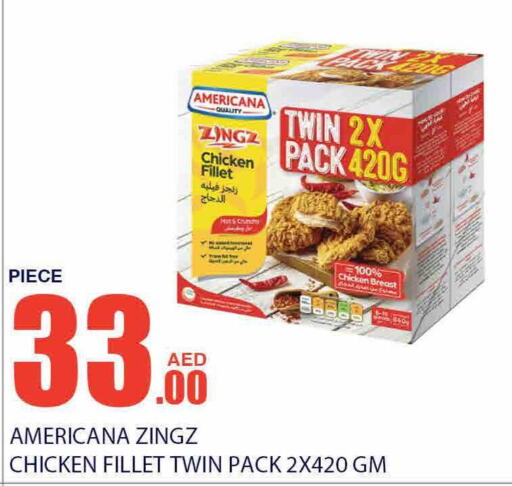 AMERICANA Chicken Fillet  in Bismi Wholesale in UAE - Dubai