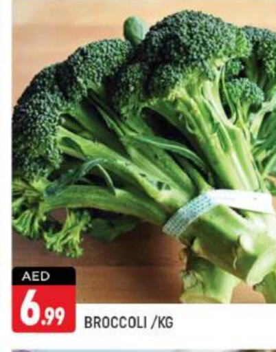  Broccoli  in Shaklan  in UAE - Dubai