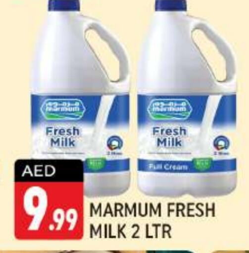 MARMUM Full Cream Milk  in Shaklan  in UAE - Dubai