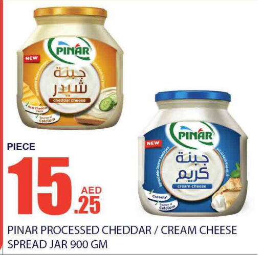 PINAR Cheddar Cheese  in Bismi Wholesale in UAE - Dubai