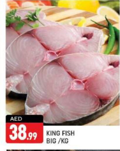  King Fish  in Shaklan  in UAE - Dubai