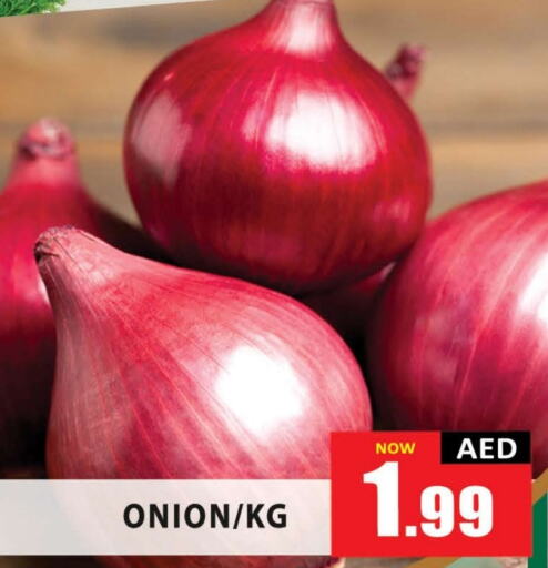  Onion  in AL MADINA (Dubai) in UAE - Dubai