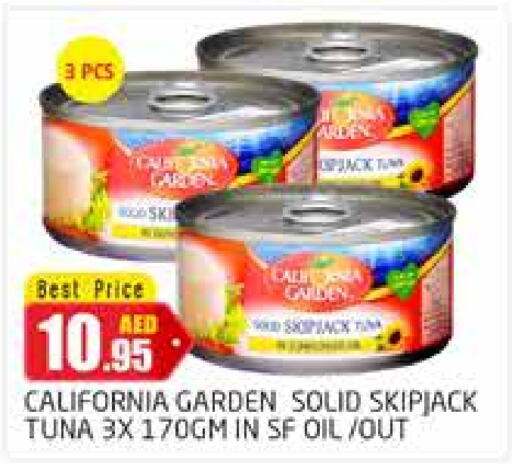 CALIFORNIA Tuna - Canned  in PASONS GROUP in UAE - Dubai