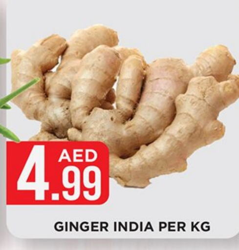 Ginger