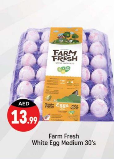 FARM FRESH   in Shaklan  in UAE - Dubai