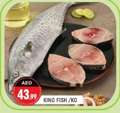  King Fish  in Shaklan  in UAE - Dubai