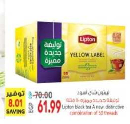 Lipton