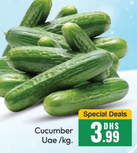  Cucumber  in Al Madina  in UAE - Dubai