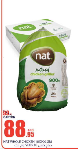 NAT Frozen Whole Chicken  in Bismi Wholesale in UAE - Fujairah