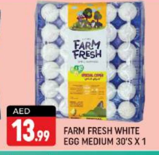 FARM FRESH   in Shaklan  in UAE - Dubai