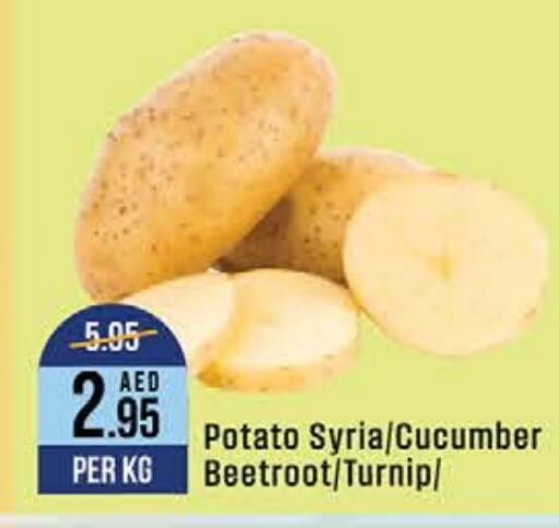  Potato  in West Zone Supermarket in UAE - Dubai