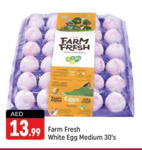 FARM FRESH   in Shaklan  in UAE - Dubai