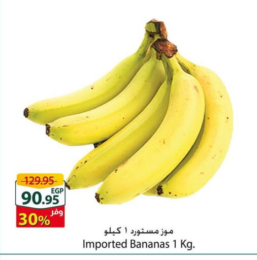 Banana