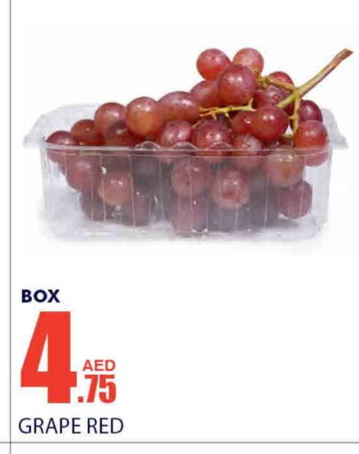  Grapes  in Bismi Wholesale in UAE - Dubai