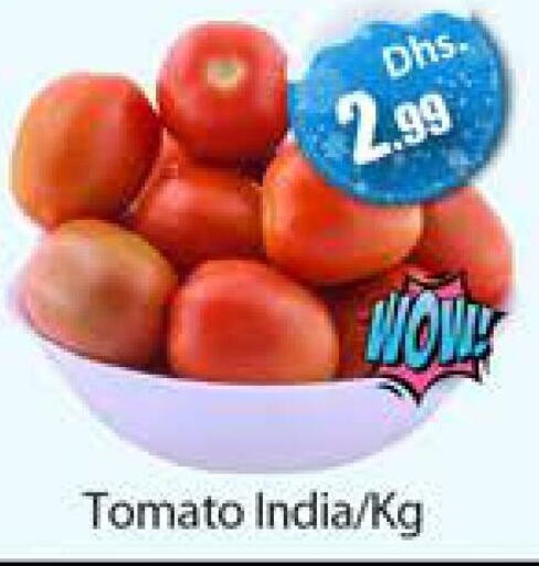  Tomato  in Al Madina  in UAE - Dubai