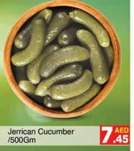  Cucumber  in AIKO Mall and AIKO Hypermarket in UAE - Dubai