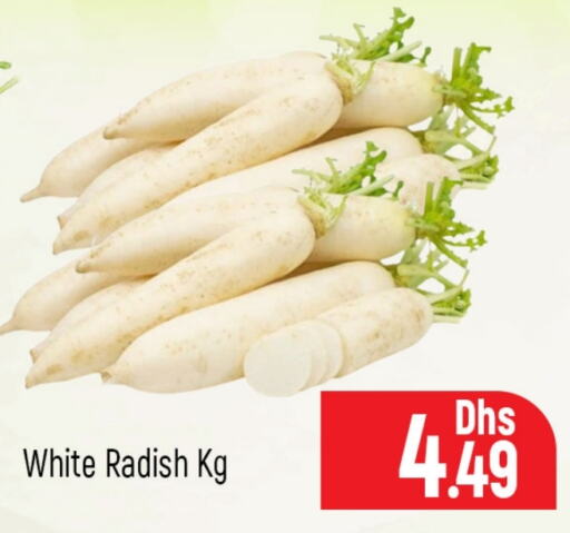  Radish  in Al Madina  in UAE - Dubai