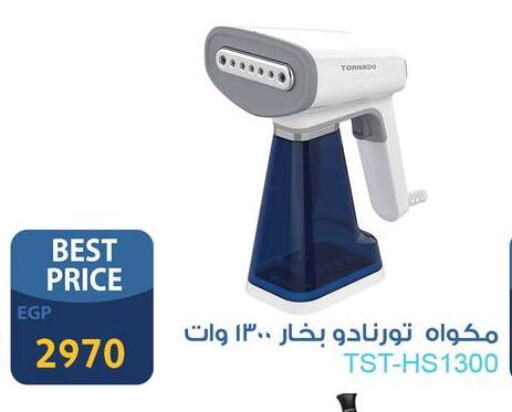  Garment Steamer  in Fathalla Market  in Egypt - Cairo